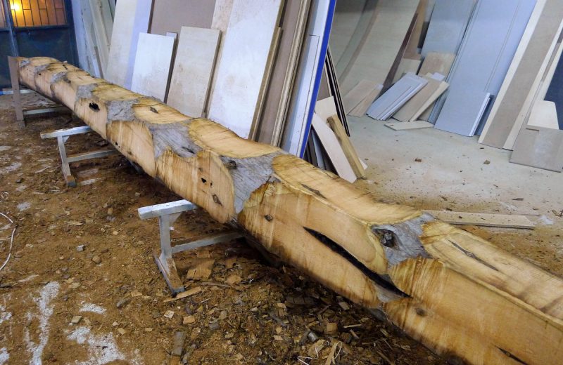 Reincarnation Series – Juniper