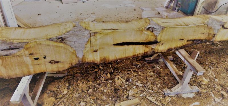 Reincarnation Series – Juniper