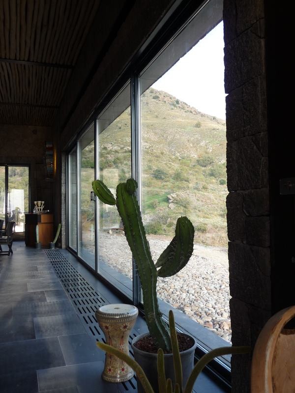 Steel Windows & Doors